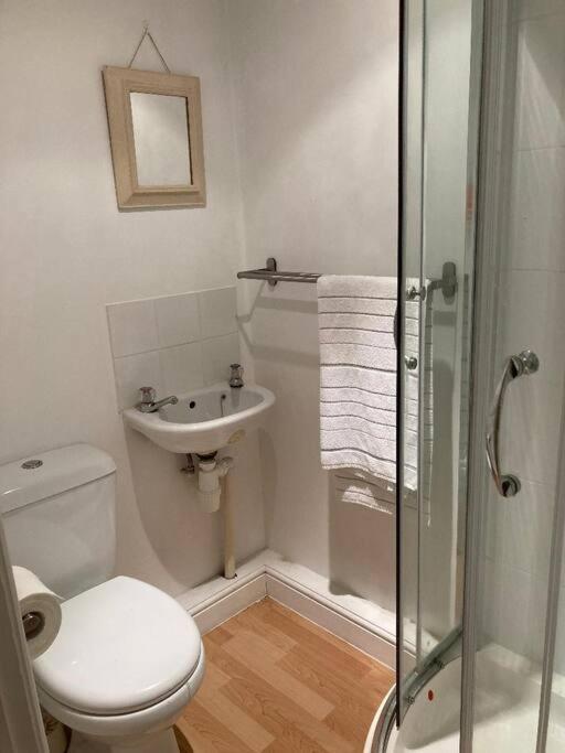 Studio Annexe With Separate Shower Room Broadhempston Eksteriør bilde